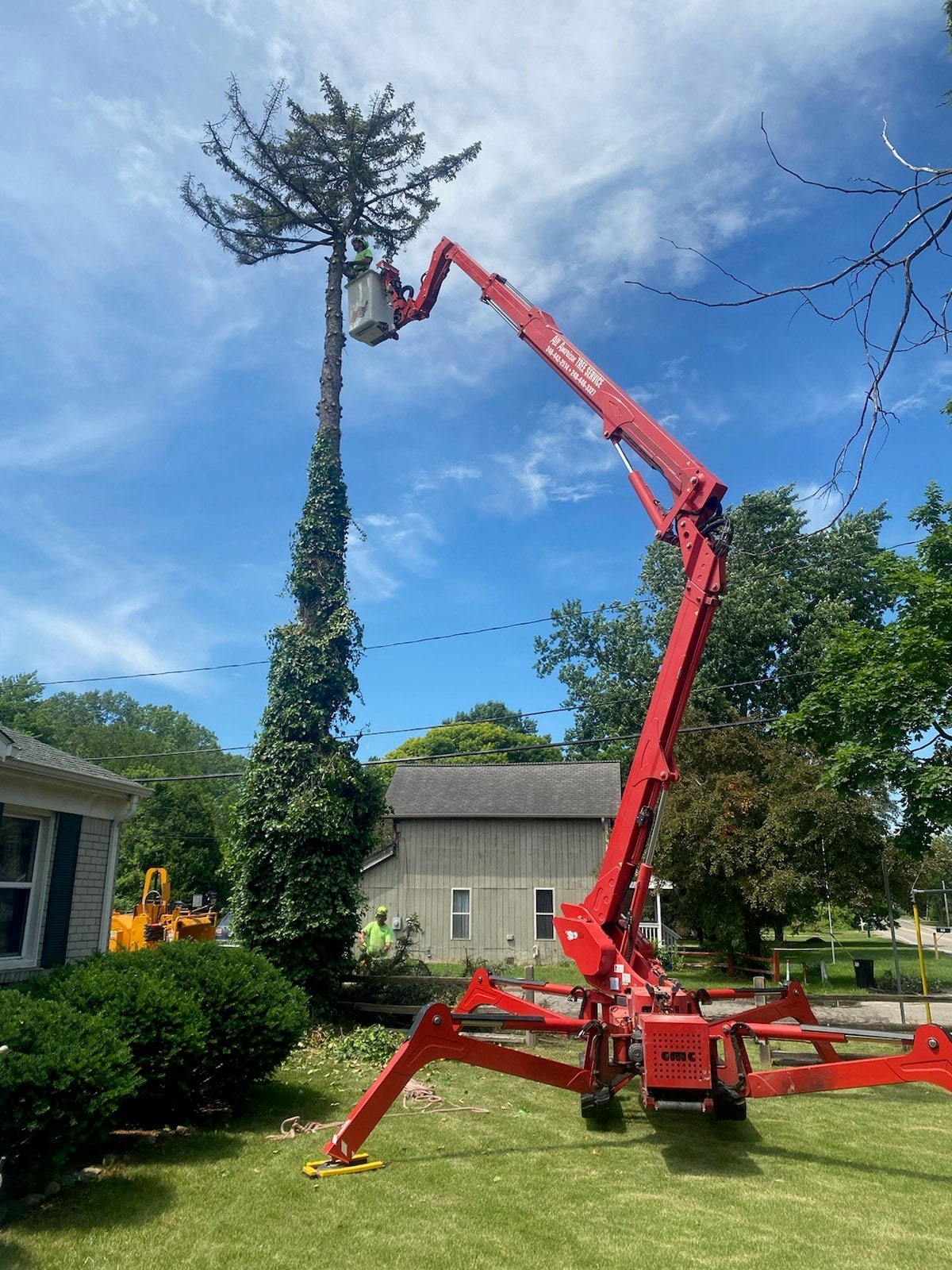 Image of All American Tree Services using their spider crane to cut down a dead pine tree.