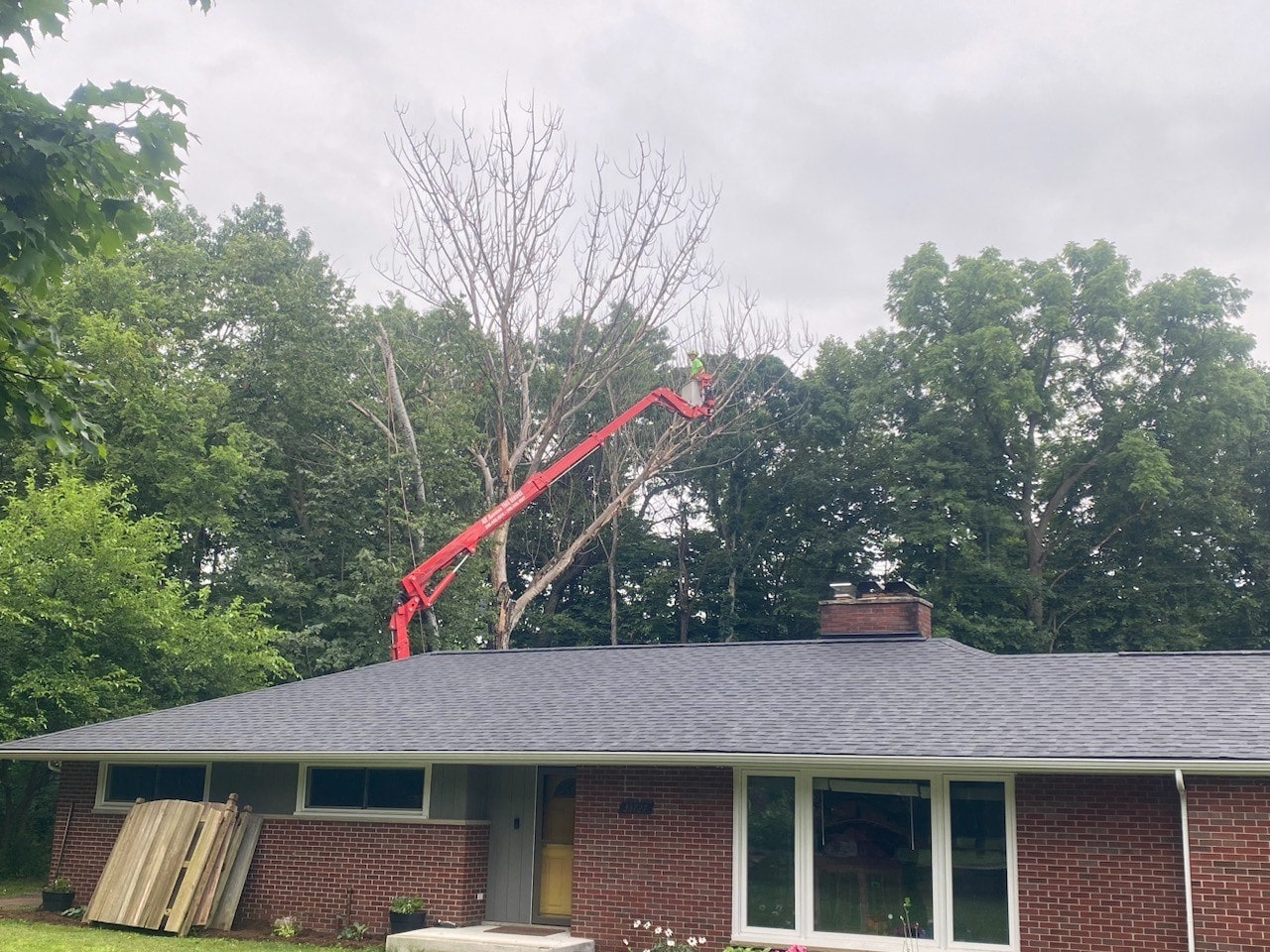 Image of All American Tree Service crew cutting down a dead tree over a house.