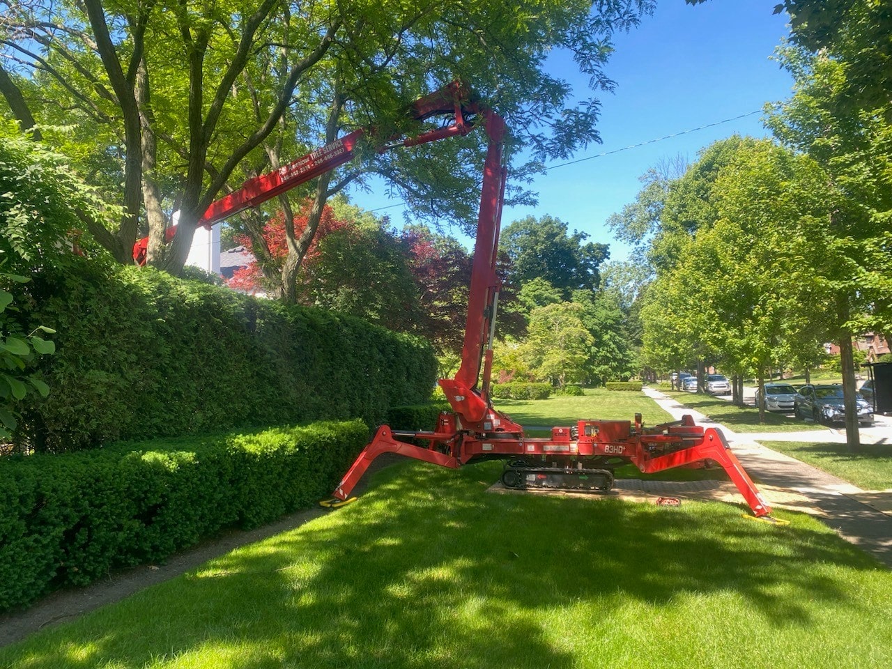 Image of All American Tree Services using their spider crane to trim trees. 