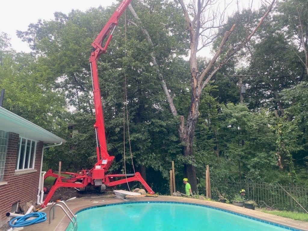 Image of All American Tree Services using their spider crane and pulleys to cut down a dead tree over a pool.