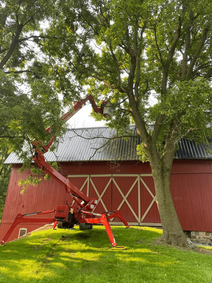 Image of All American Tree Services spider crane trimming tree limbs over a red barn.